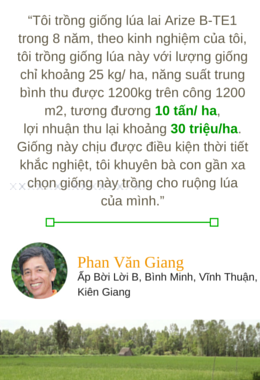 Arize BTE1 Testimonial